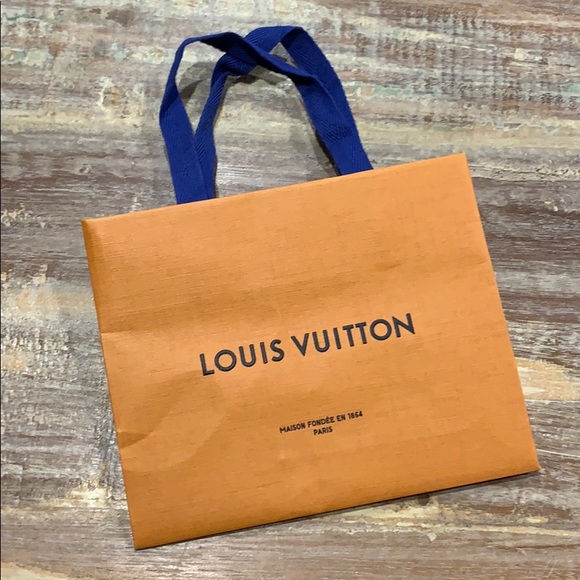 louis vuitton store bag